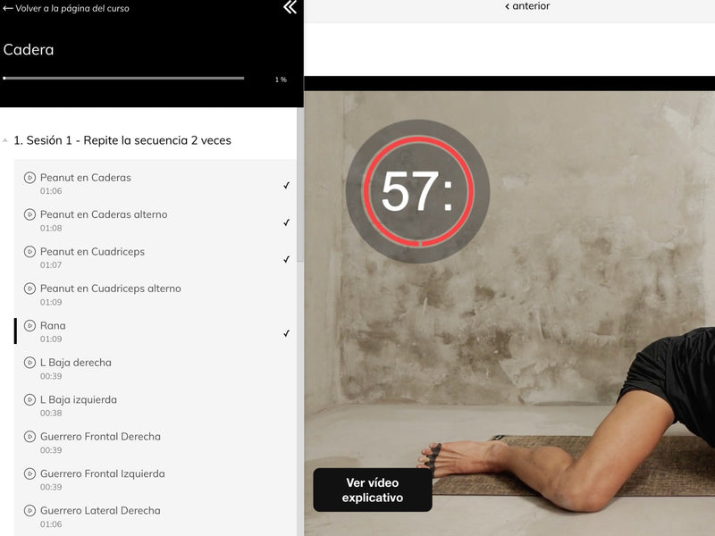 PROGRESO VISIBLE, SESIÓN A SESIÓN